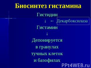 Биосинтез гистамина Гистидин ↓ ← Декарбоксилаза Гистамин ↓ Депонируется в гранул