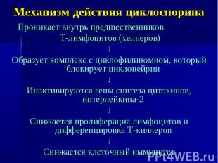 Механизм действия циклоспорина Проникает внутрь предшественников Т-лимфоцитов (х