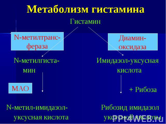 Метаболизм гистамина Гистамин N-метилгиста- Имидазол-уксусная мин кислота + Рибоза N-метил-имидазол- Рибозид имидазол уксусная кислота уксусной кислоты