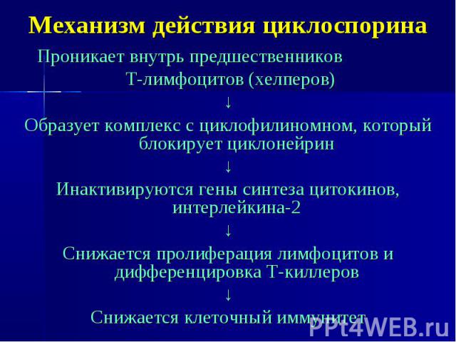 Механизм действия циклоспорина Проникает внутрь предшественников Т-лимфоцитов (хелперов) ↓ Образует комплекс с циклофилиномном, который блокирует циклонейрин ↓ Инактивируются гены синтеза цитокинов, интерлейкина-2 ↓ Снижается пролиферация лимфоцитов…