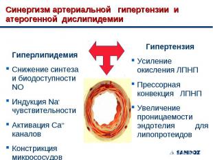 Гиперлипидемия Гиперлипидемия Снижение синтеза и биодоступности NO Индукция Na+