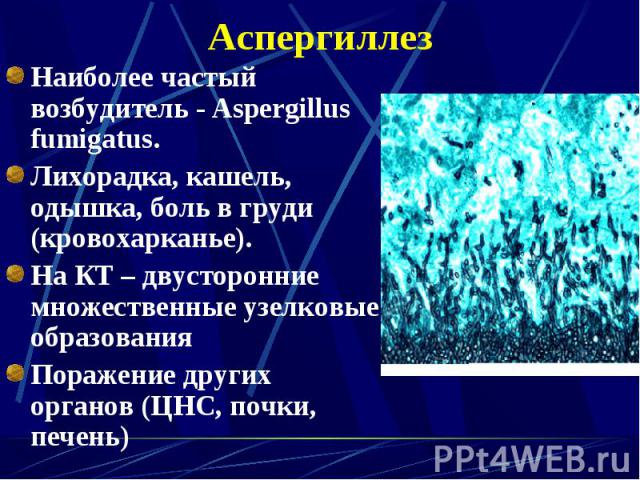 Наиболее частый возбудитель - Aspergillus fumigatus. Наиболее частый возбудитель - Aspergillus fumigatus. Лихорадка, кашель, одышка, боль в груди (кровохарканье). На КТ – двусторонние множественные узелковые образования Поражение других органов (ЦНС…