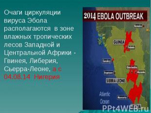 Очаги циркуляции вируса Эбола располагаются в зоне влажных тропических лесов Зап