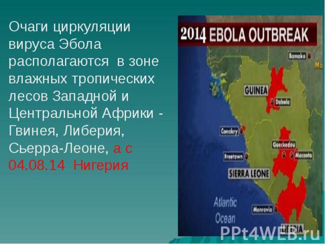 Очаги циркуляции вируса Эбола располагаются в зоне влажных тропических лесов Западной и Центральной Африки - Гвинея, Либерия, Сьерра-Леоне, а с 04.08.14 Нигерия Очаги циркуляции вируса Эбола располагаются в зоне влажных тропических лесов Западной и …
