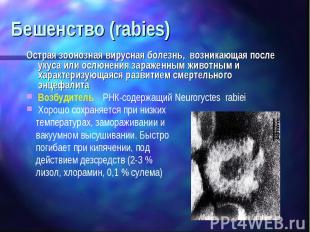 Бешенство (rabies) Острая зоонозная вирусная болезнь, возникающая после укуса ил