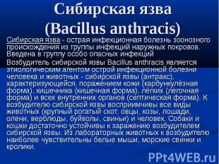 Сибирская язва (Вacillus anthracis) Сибирская язва - острая инфекционная болезнь