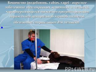 Бешенство (водобоязнь, rabies, rage) - вирусное заболевание теплокровных животны