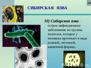 10) Сибирская язва - острое инфекционное заболевание из группы зоонозов, которое