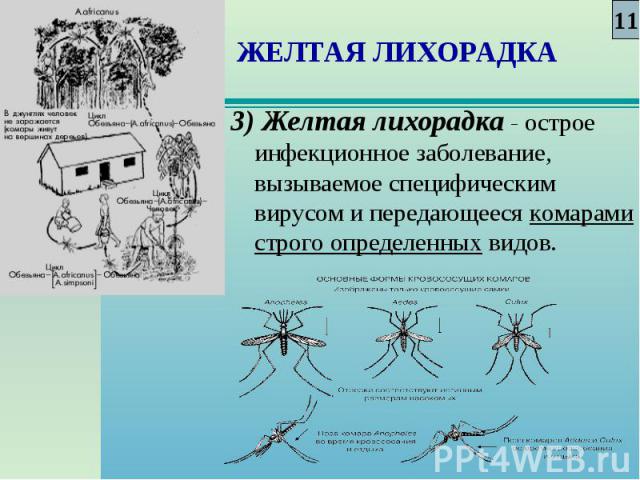 3) Желтая лихорадка - острое инфекционное заболевание, вызываемое специфическим вирусом и передающееся комарами строго определенных видов. 3) Желтая лихорадка - острое инфекционное заболевание, вызываемое специфическим вирусом и передающееся комарам…
