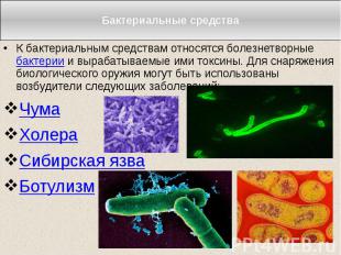 Бактериальные средства К бактериальным средствам относятся болезнетворные бактер