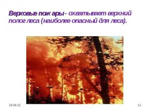Верховые пожары - охватывает верхний полог леса (наиболее опасный для леса). Вер