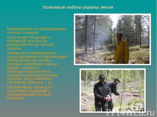 Мероприятия по обнаружению лесных пожаров. Мероприятия по обнаружению лесных пож