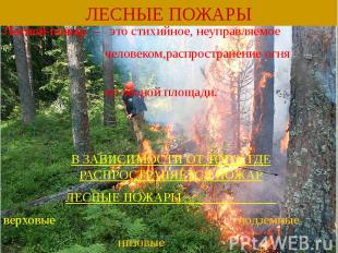 Лесной пожар – это стихийное, неуправляемое Лесной пожар – это стихийное, неупра