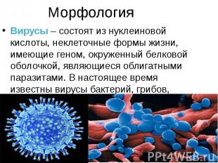 Морфология Вирусы – состоят из нуклеиновой кислоты, неклеточные формы жизни, име