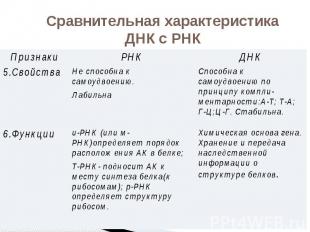 Сравнительная характеристика ДНК с РНК