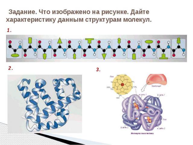 Задание. Что изображено на рисунке. Дайте характеристику данным структурам молекул.