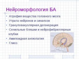 Нейроморфология БА Атрофия вещества головного мозга Утрата нейронов и синапсов Г