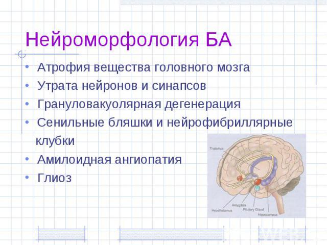 Нейроморфология БА Атрофия вещества головного мозга Утрата нейронов и синапсов Грануловакуолярная дегенерация Сенильные бляшки и нейрофибриллярные клубки Амилоидная ангиопатия Глиоз