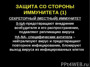 ЗАЩИТА СО СТОРОНЫ ИММУНИТЕТА (1) СЕКРЕТОРНЫЙ (МЕСТНЫЙ) ИММУНИТЕТ S-IgA-предотвра