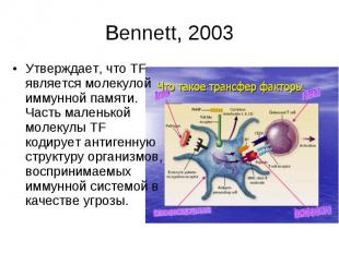 Bennett, 2003 Утверждает, что TF является молекулой иммунной памяти. Часть мален