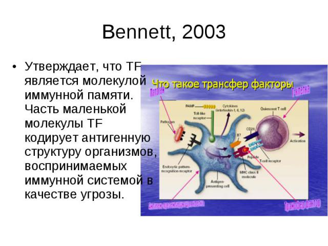 Bennett, 2003 Утверждает, что TF является молекулой иммунной памяти. Часть маленькой молекулы TF кодирует антигенную структуру организмов, воспринимаемых иммунной системой в качестве угрозы.