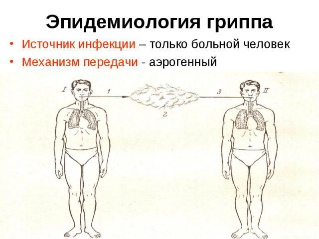 Источник инфекции – только больной человек Источник инфекции – только больной человек Механизм передачи - аэрогенный