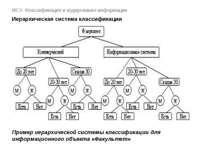 ИСУ. Классификация и кодирование информации Иерархическая система классификации