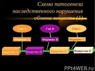 Схема патогенеза наследственного нарушения обмена веществ (1)