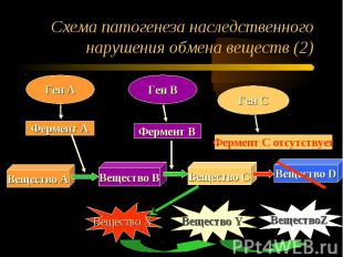Схема патогенеза наследственного нарушения обмена веществ (2)