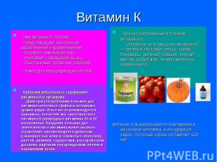 Витамин К Чем витамин К полезен - Предотвращает внутренние кровотечения и кровои