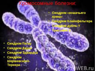 Хромосомные болезни: Синдром Патау Синдром Дауна Синдром Эдвардса Синдром Шершев