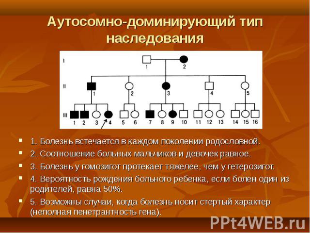 1. Болезнь встечается в каждом поколении родословной. 1. Болезнь встечается в каждом поколении родословной. 2. Соотношение больных мальчиков и девочек равное. 3. Болезнь у гомозигот протекает тяжелее, чем у гетерозигот. 4. Вероятность рождения больн…