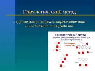 Генеалогический метод Задание для учащихся: определите тип наследования леворуко