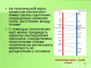 На генетической карте хромосом обозначают: номер группы сцепления, сокращенные н