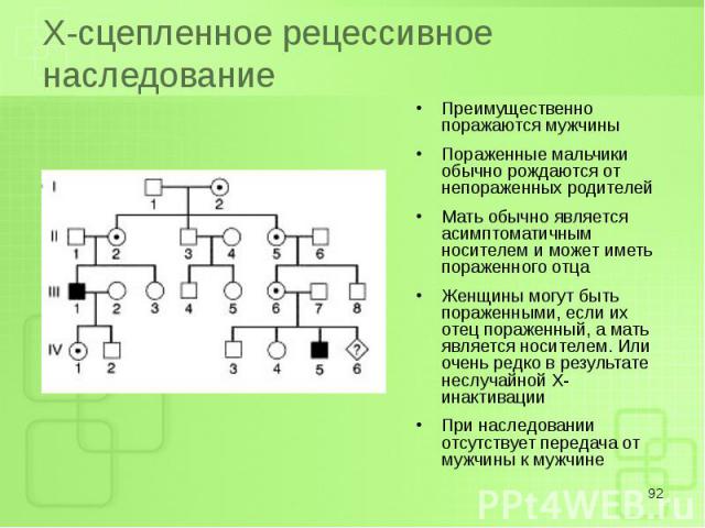 Преимущественно поражаются мужчины Преимущественно поражаются мужчины Пораженные мальчики обычно рождаются от непораженных родителей Мать обычно является асимптоматичным носителем и может иметь пораженного отца Женщины могут быть пораженными, если и…