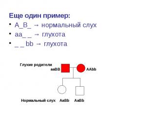 Еще один пример: Еще один пример: А_В_ → нормальный слух аа_ _ → глухота _ _ bb