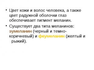 Цвет кожи и волос человека, а также цвет радужной оболочки глаз обеспечивает пиг