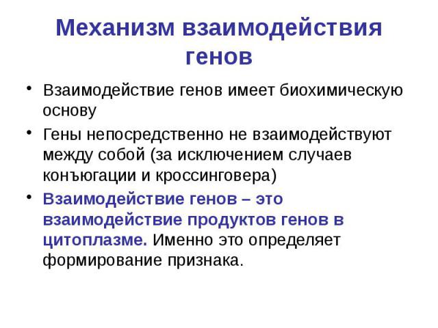 Механизм взаимодействия генов Взаимодействие генов имеет биохимическую основу Гены непосредственно не взаимодействуют между собой (за исключением случаев конъюгации и кроссинговера) Взаимодействие генов – это взаимодействие продуктов генов в цитопла…