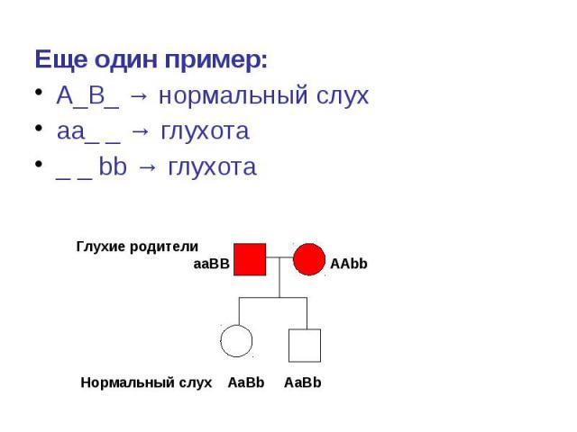Еще один пример: Еще один пример: А_В_ → нормальный слух аа_ _ → глухота _ _ bb → глухота