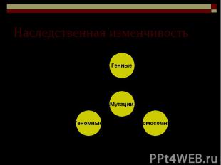 Наследственная изменчивость