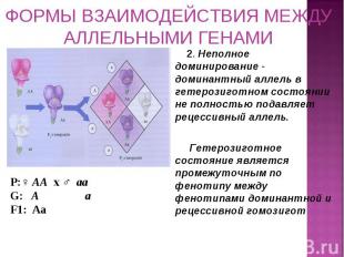 2. Неполное доминирование - доминантный аллель в гетерозиготном состоянии не пол