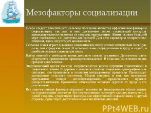 Мезофакторы социализации Особо следует отметить, что сельские поселения являются