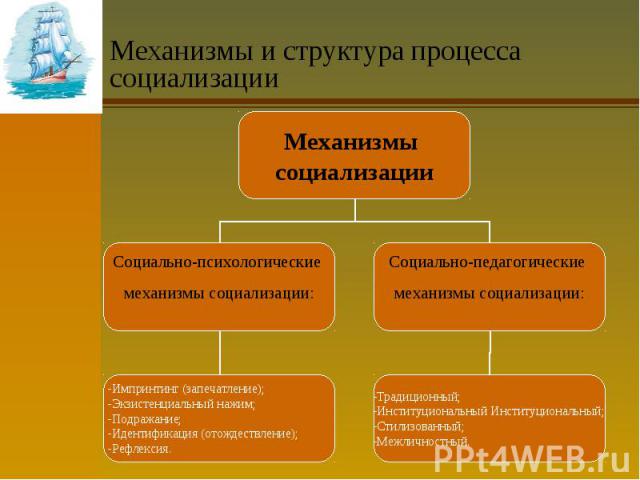 Механизмы и структура процесса социализации