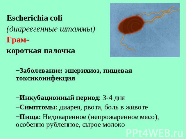 Escherichia coli Escherichia coli (диареегенные штаммы) Грам- короткая палочка Заболевание: эшерихиоз, пищевая токсикоинфекция Инкубационный период: 3-4 дня Симптомы: диарея, рвота, боль в животе Пища: Недоваренное (непрожаренное мясо), особенно руб…