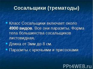 Класс Сосальщики включает около 4900 видов. Все они паразиты. Форма тела большин