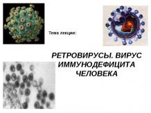 Ретровирусы