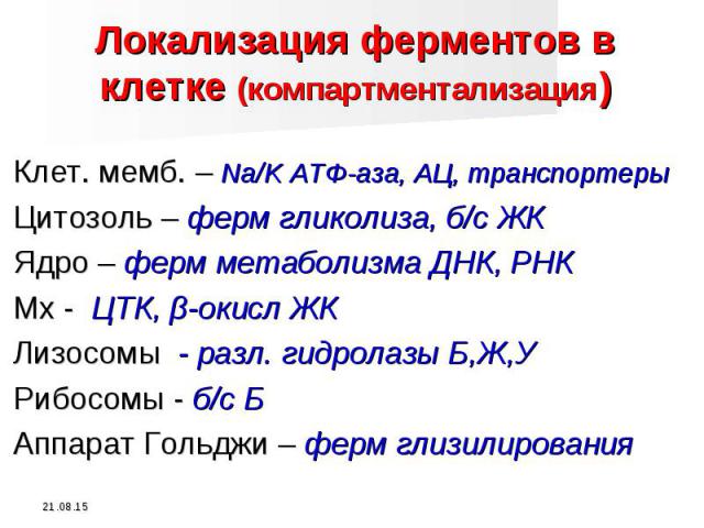 Клет. мемб. – Na/K АТФ-аза, АЦ, транспортеры Клет. мемб. – Na/K АТФ-аза, АЦ, транспортеры Цитозоль – ферм гликолиза, б/с ЖК Ядро – ферм метаболизма ДНК, РНК Мх - ЦТК, β-окисл ЖК Лизосомы - разл. гидролазы Б,Ж,У Рибосомы - б/с Б Аппарат Гольджи – фер…