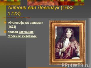 Антони ван Левенгук (1632-1723) «Философские записки» (1673) описал клеточное ст