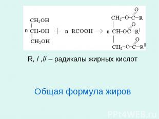 R, / ,// – радикалы жирных кислот R, / ,// – радикалы жирных кислот Общая формул