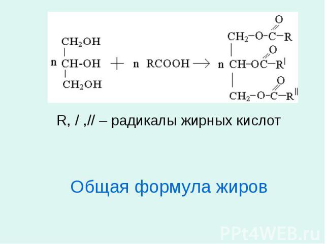 R, / ,// – радикалы жирных кислот R, / ,// – радикалы жирных кислот Общая формула жиров
